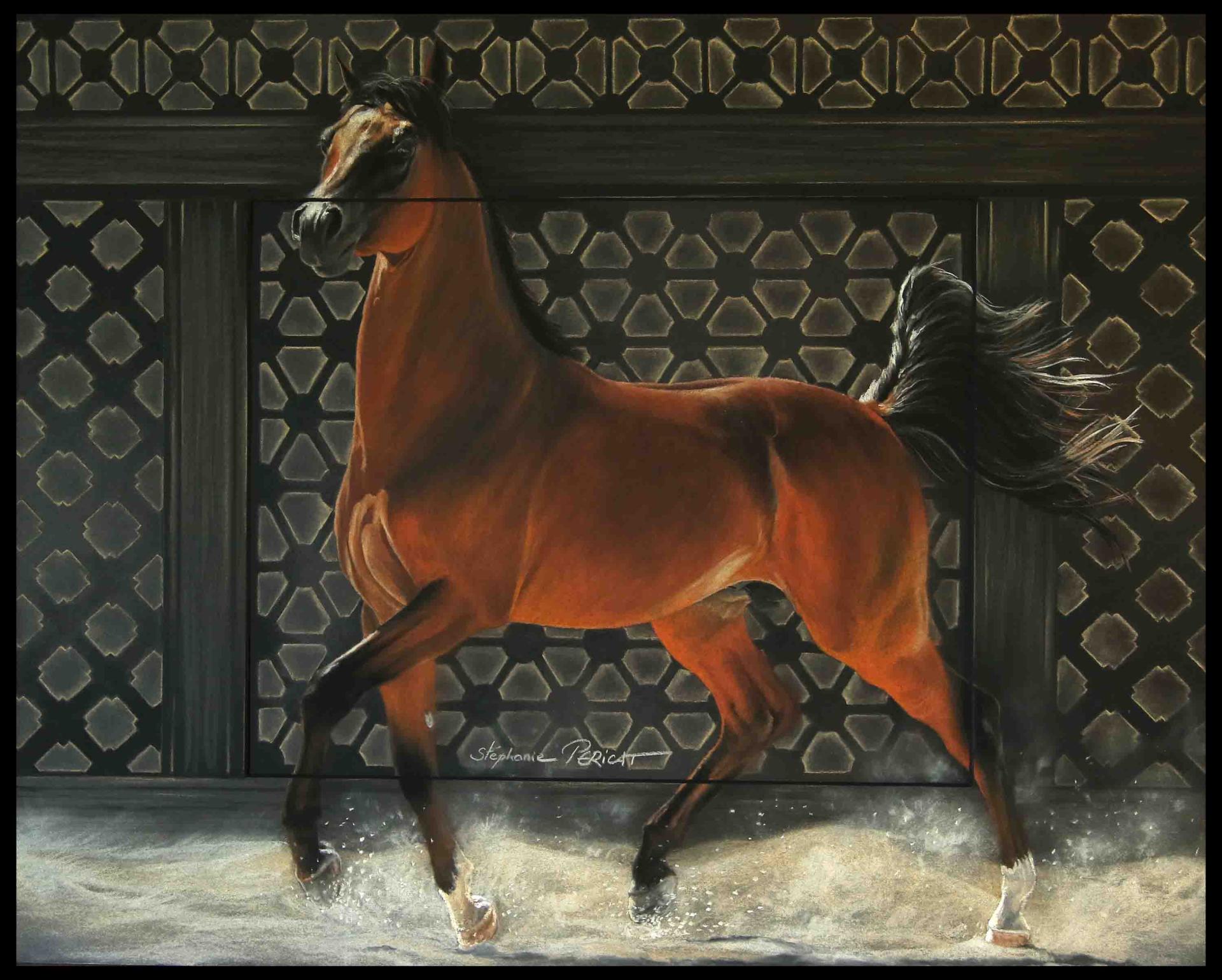 Ahmar (bai cerise en arabe pour un mâle - modèle: Kenelm Samazing )  -  40 x 50 cm  -  Disponible-