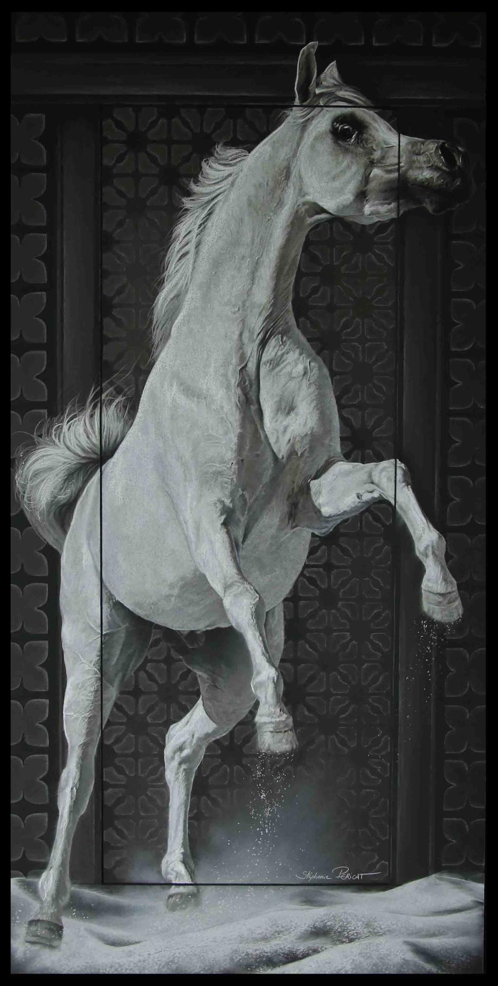 Azrek ( gris clair en arabe pour un mâle - modèle: Largo de Sarjevane)  -  50 x 100 cm  -  Disponible