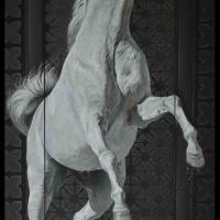 Azrek ( gris clair en arabe pour un mâle - modèle: Largo de Sarjevane)  -  50 x 100 cm  -  Disponible